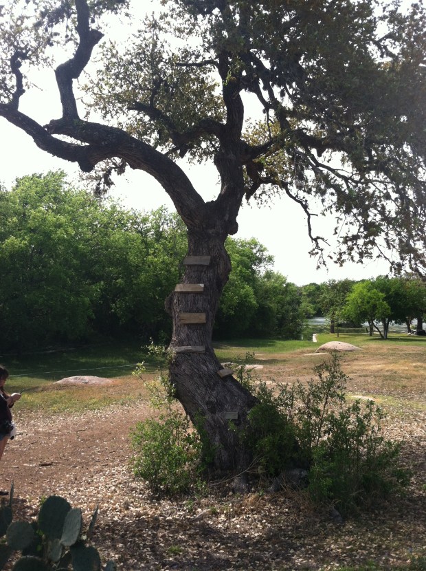 was there once a tree house up there? so cute!