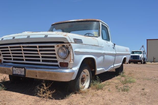 Such a good photo op!